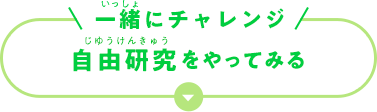 一緒にチャレンジ 自由研究をやってみる