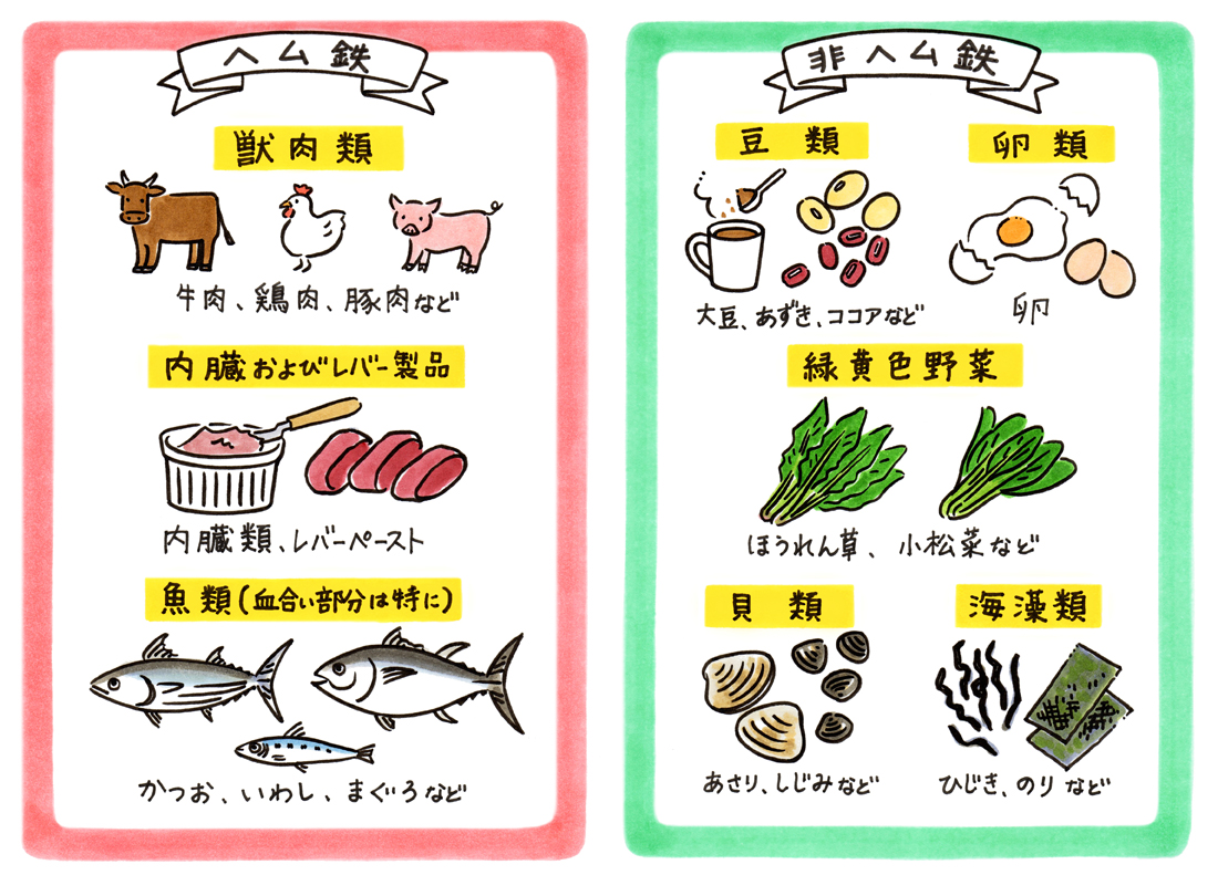 貧血の予防には、ヘム鉄を含む食材、非ヘム鉄を含む食材をバランスよく食べましょう。合わせて食べると吸収も効率的になります。