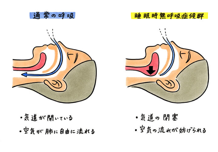お口の健康が若々しさの秘訣